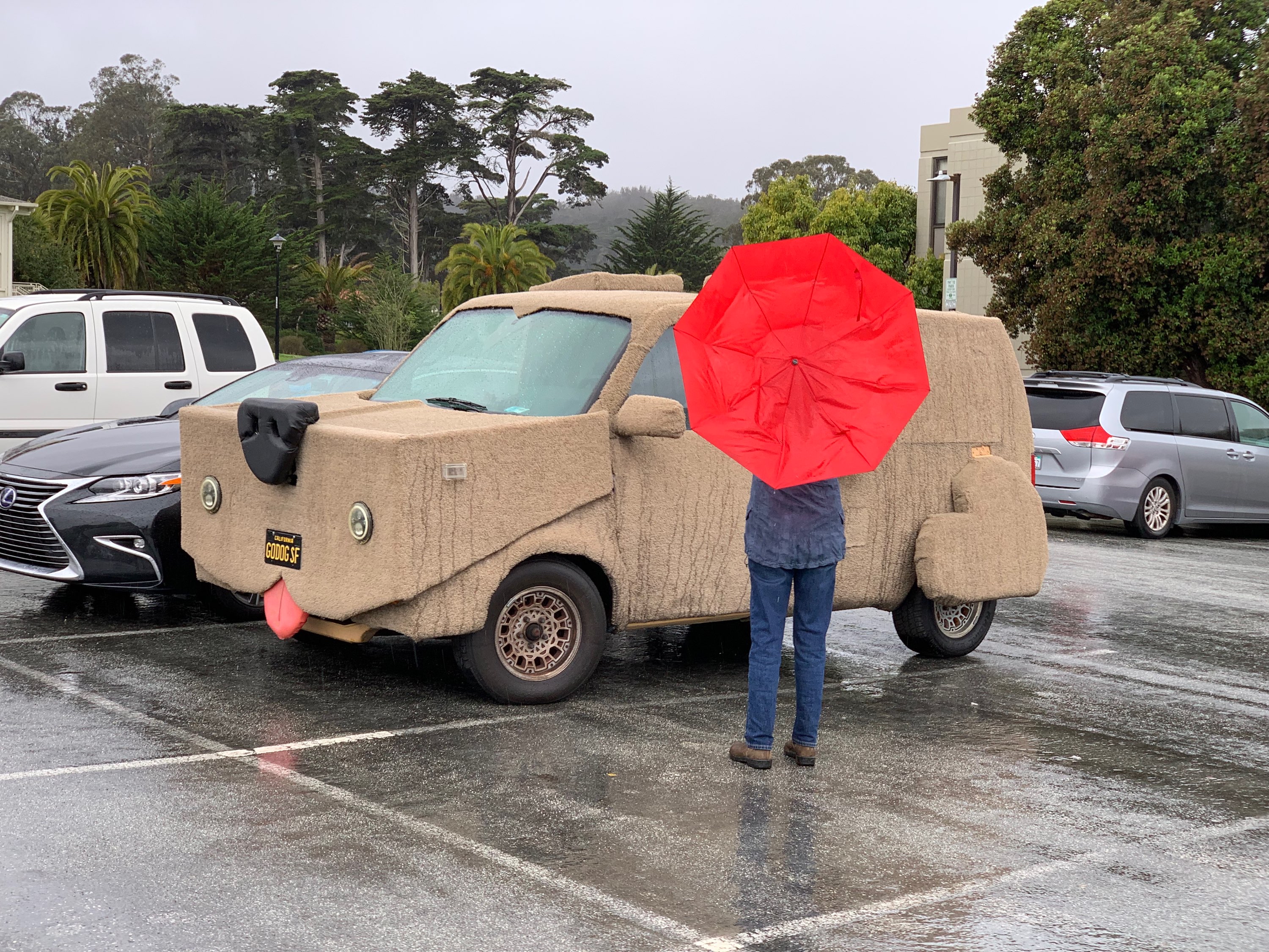 Dec 10-11: SF rain!