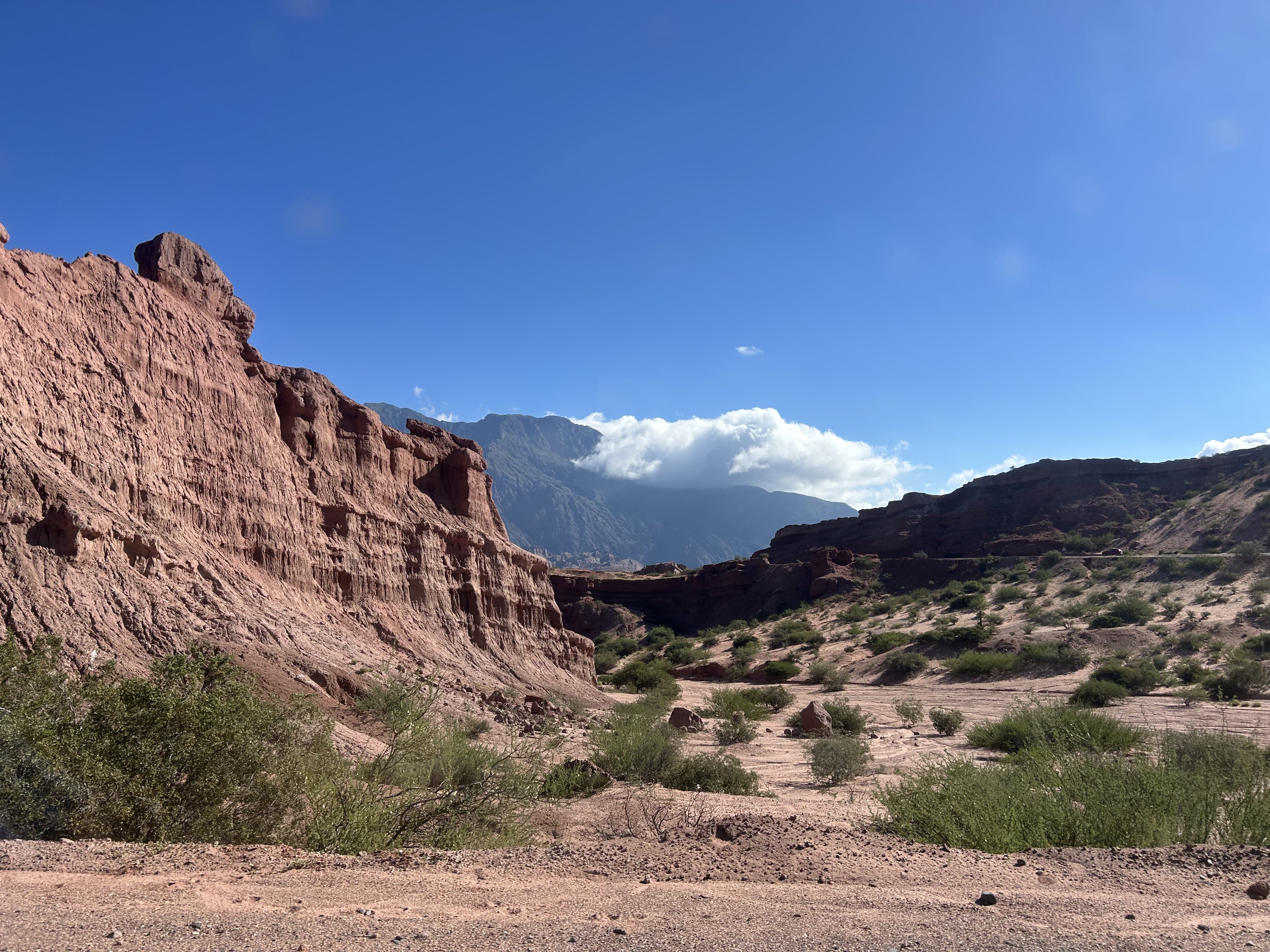 2026 Mar 1: Salta