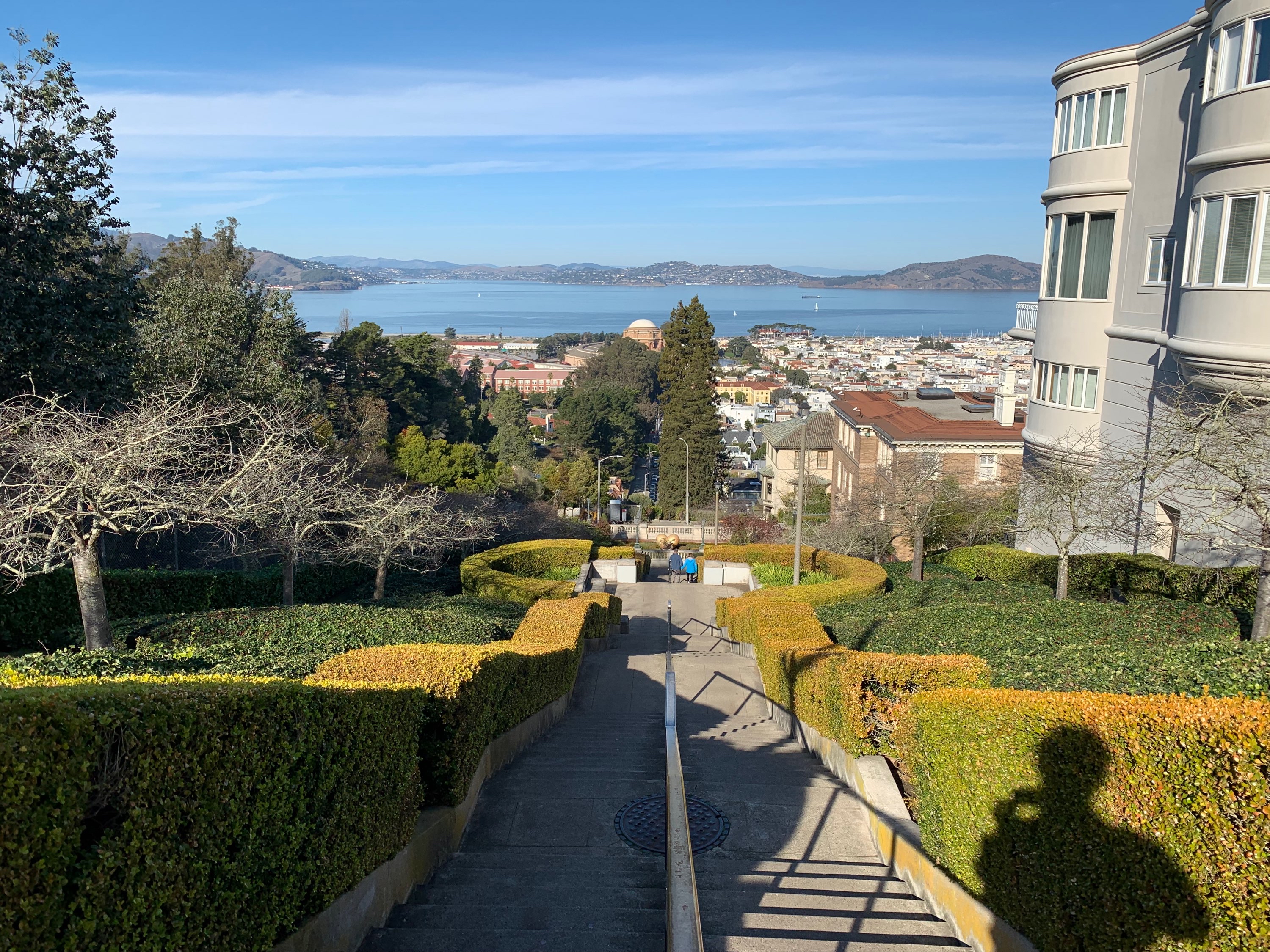 Dec 15: SF