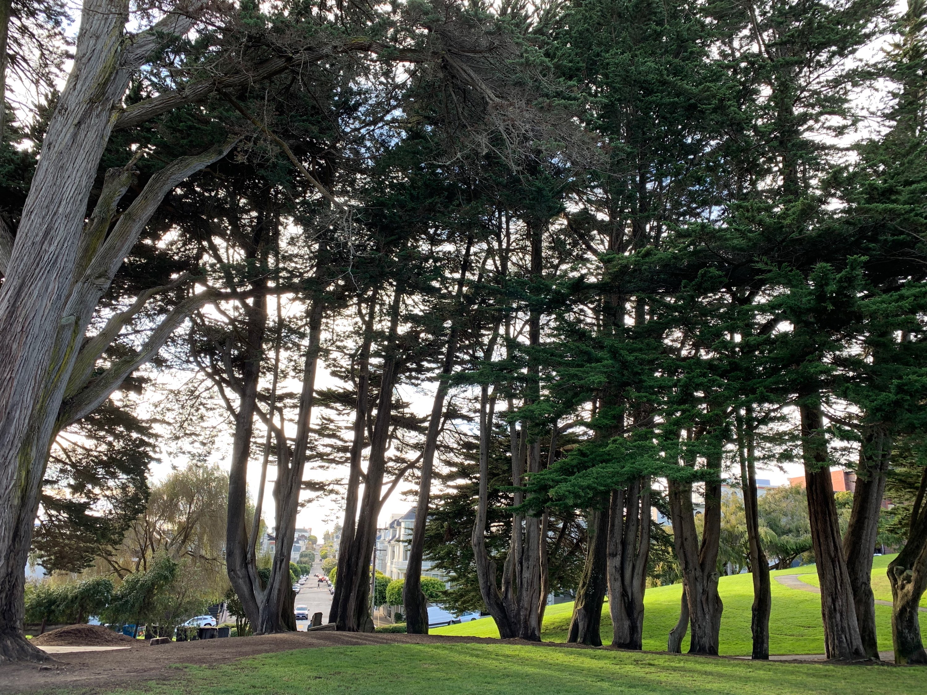 Nov 8-9: SF days 4-5