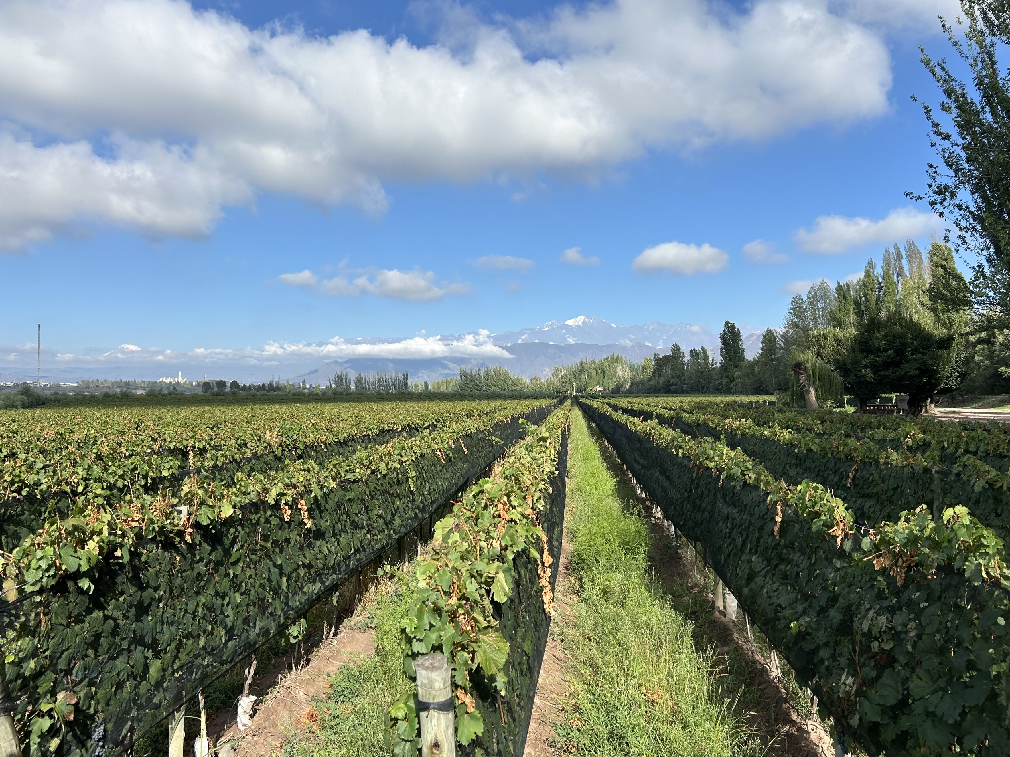 2026 Feb 21-25: Mendoza